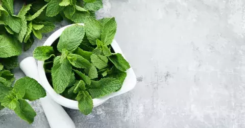 Vaše pleť a máta? Nerozlučná dvojka!