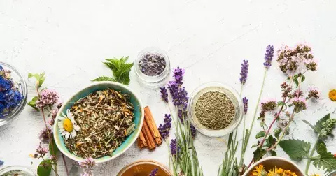 Bylinková encyklopedie podle vašeho znamení zvěrokruhu. Co pomůže právě vám?