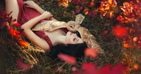 Zdá se vám v noci o zvířatech? Ktará vás varují před podlomeným zdravím a která předpovídají lásku?