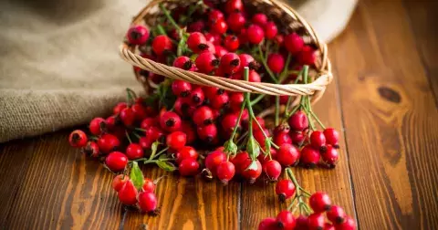 Nemusíte nakupovat drahé potraviny. Tyto typicky české vám dodají energii i vitaminy