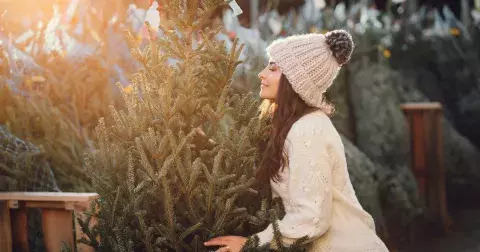 Magické účinky smrku, jedle, borovice: Výběr vánočního stromku odhalí, jakou pomoc ve svém životě potřebujete.
