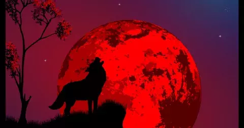 Brzy nastane krvavý superúplněk: Budou se dít šílené věci, jak ovlivní vaše znamení?