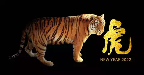 Rok 2022 bude rokem vodního Tygra: Přichází období ve znamení neuvěřitelné síly a životních posunů