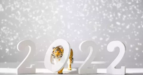 Čínský horoskop pro rok 2022: V roce vodního Tygra projevíme odvahu i empatii