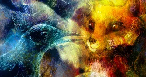 Symboly duše dle měsíce narození: Odhalují vaše silné a slabé stránky, jaký z nich náleží vám?