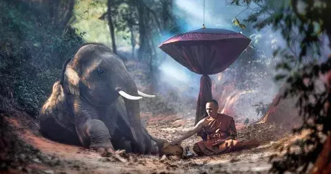 4 buddhistická moudra: Tyto principy vám pomohou zahojit rány na duši. Žijte šťastnější život už dnes!