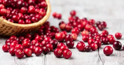 Brusinky vás ochrání před záněty, snižují riziko vážných a chronických nemocí. Nejsou ale brusinky jako brusinky. Jakým se raději vyhnout?