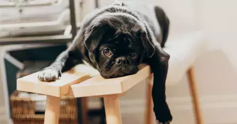 Horoskop: Pokud vás ovládá únava a špatná nálada, mohou za to hvězdy. Střelci i Váhy mají tento týden omluvenku