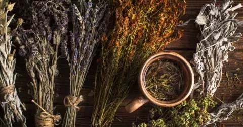 Alchymistka Alice Cross: Radí, jak využít sílu rostlin. Medvědí česnek se hodí pro očistu těla, pampeliška si poradí se zlozvyky