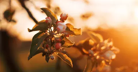 Duben podle numerologie: Probudí se ve vás energie a síla. Sebe dejte na první místo