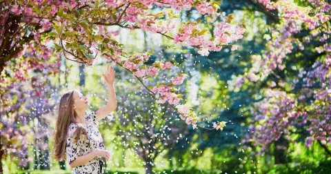 Jaro se blíží a s ním i senná rýma. Tři rychlé tipy, které vám pomohou: Větrejte nebo zkuste zázvorový čaj