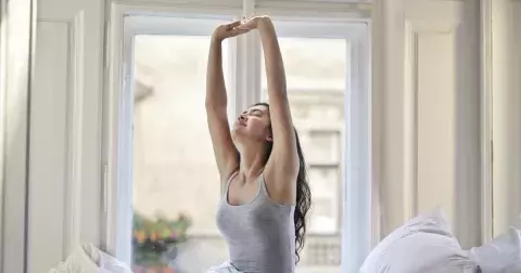 Kvíz: Jste ranní ptáčata nebo noční sovy? Test vám odhalí, kdo je produktivnější a kdo má zajímavější život