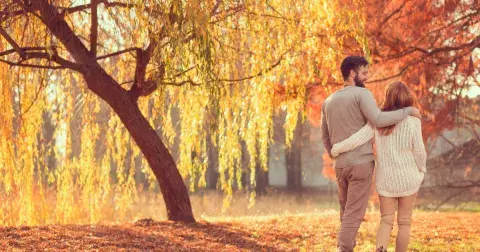 Numerologie lásky: Zjistěte, zda se k sobě hodíte dle data narození. Mezi stabilní páry patří životní čísla 1 a 9 i 5 a 6