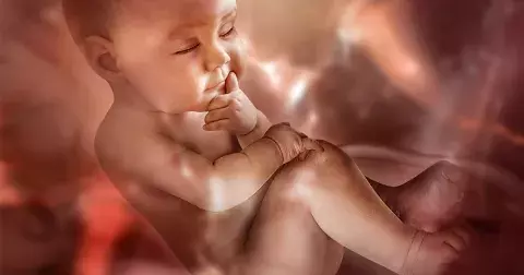 Koloběh naší duše: Před svým narozením si vybíráme rodinu a přátele