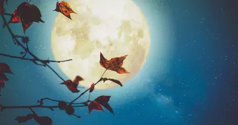 V neděli nastane úplněk v Beranu: Krvavý měsíc přinese velké emocionální změny a pravda vypluje napovrch