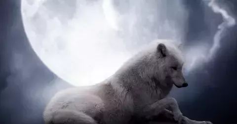 Úplňkový horoskop 2022 pro každé znamení zvěrokruhu: Luna nejvíce ovlivní Blížence, Panny, Střelce a Ryby