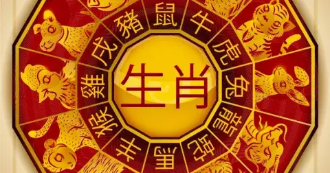 Únorový čínský horoskop: Nový měsíc bude nepříznivý hlavně pro Krysy, Tygry a Zajíce