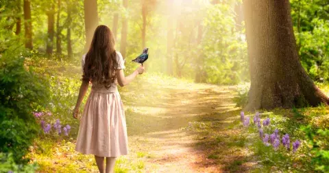 Test osobnosti: Pečlivě si vyberte jeden ze šesti stromů. Odkryje vaši charakteristiku i v čem jste jedineční