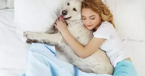 Nejlepší parťák na spaní? Pes!