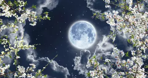 Přichází březnový červí úplněk: přináší do vašeho života jasno a řád