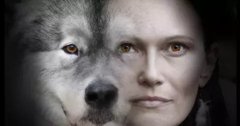 Zvíře, které spatříte jako první, určuje vaše dominantní osobnostní rysy