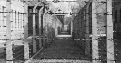 Hrůzy v nacistických táborech, o kterých se léta nemluvilo: prostituce byla denním chlebem