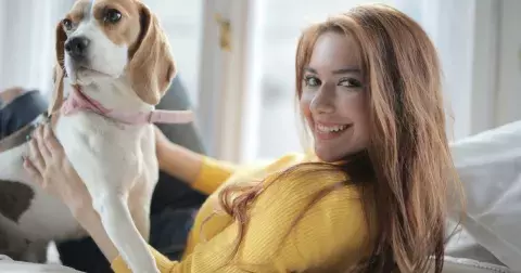 Jaký pán, takový pes: Co o vás vypovídá vaše oblíbené psí plemeno?