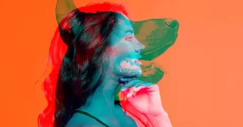 Lev, kočka, pes nebo delfín: Jaké zvíře jste podle osobnosti vy?