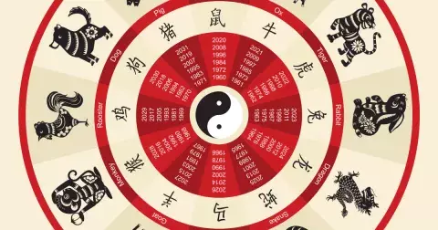 Čínský horoskop: V květnu mají Buvoli, Zajíci a Psi šanci najít lásku