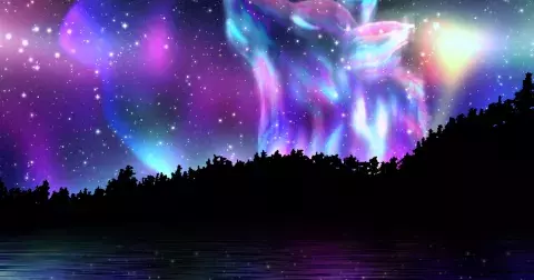 Jste medvěd, lev, vlk nebo delfín? Zjistěte své spánkové zvíře a podívejte se, jaký denní režim je pro vás optimální