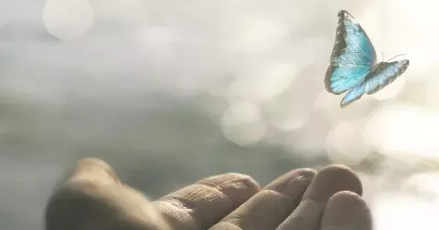 Spojení se zemřelými: Přijměte znamení či vzkazy, že se k vám snaží promluvit někdo z onoho světa