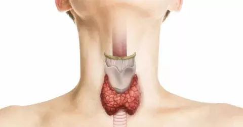 Funguje vám správně štítná žláza? Nepodceňujte padání vlasů, zimomřivost a další varovné signály