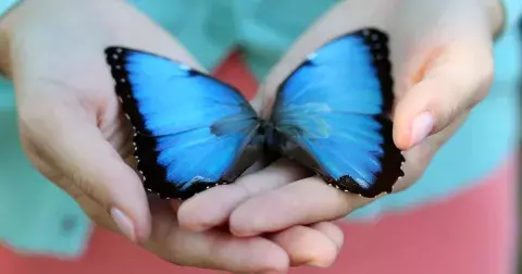 6 znaků, že je vám nablízku milovaný zemřelý