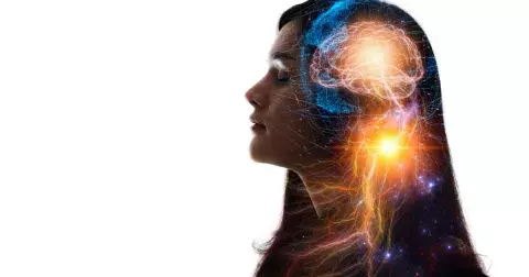 Nejkratší test osobnosti: Vyberete si rajče, nebo meloun? To o vás prozradí víc, než si myslíte