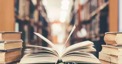 Kvíz: Máj, Kytice nebo Babička. Orientujete se v české literatuře, kterou by měl znát každý? Otestujte se