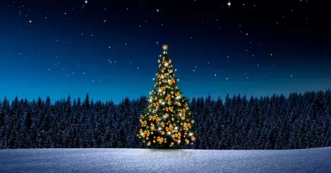 Kvíz: Boží hod, nebo Boží Hod? Nejčastější chyby, které dělají Češi v pravopisu. Otestujte se