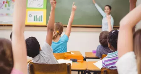 Kvíz: Zvládli byste učivo 6. třídy? V těchto znalostech pokulhává většina Čechů