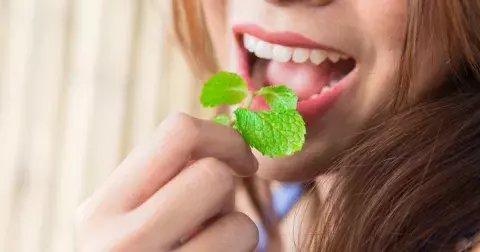 Už naše babičky žvýkaly denně lístky máty. S vaším zažíváním udělají divy