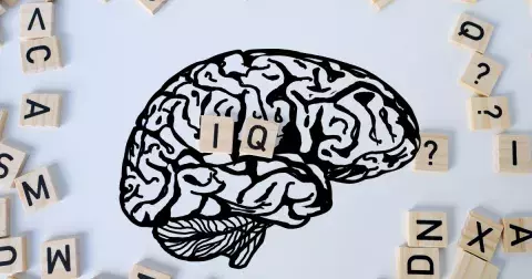 Kvíz: Zjistěte, zda jste nadprůměrně inteligentní. Zábavný IQ test odhalí vaši míru inteligence