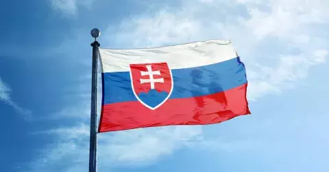 Kvíz: Cvikla nebo ťava. Otestujte, jak dobře rozumíte slovenštině