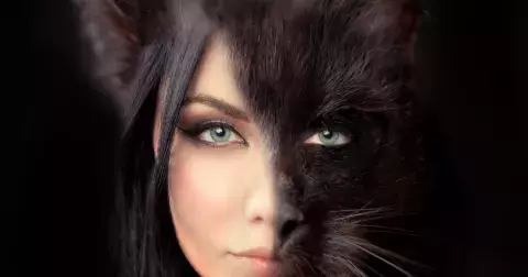 Test osobnosti: Vlk nebo medvěd? Vyberte si zvíře a odhalte stinnou stránku své osobnosti