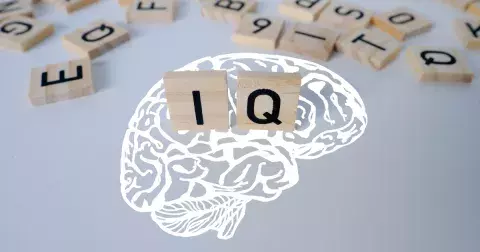 Zábavný kvíz: Otestujte si, zda patříte mezi necelé 2% nadprůměrně inteligentních lidí