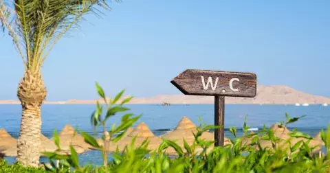 Zábavný kvíz: WC, SRPŠ nebo QR. Víte, co znamenají zkratky, které denně používáte?