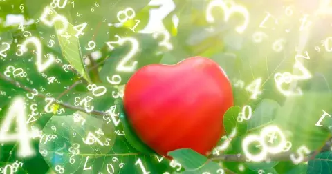 Červenec 2024 podle numerologie: Měsíc s vibrací čísla šest nabídne zklidnění, důležité je přijímat změny, které přijdou