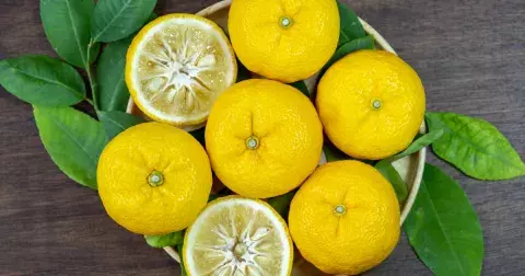 Ochutnejte méně známý citrus, který obsahuje mnohem více vitamínu C než citron. Navíc úžasně chutná