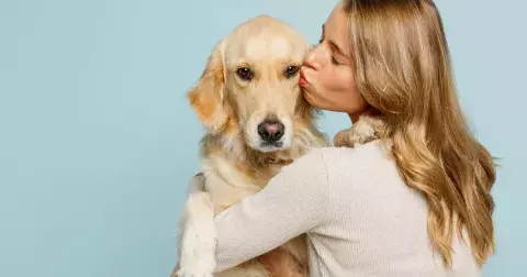 Kvíz: Poznáte nejoblíbenější psí plemena podle jediné fotografie? Testem by měl projít každý Čech