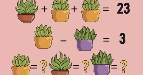 Ne každý dokáže vyřešit tento jednoduchý rébus: Zapojte mozek a doplňte hodnotu každé rostliny