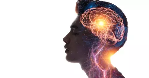 Studie: 7 nejhorších potravin pro váš mozek