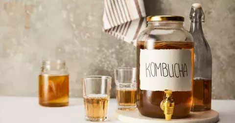 Kombucha: Starodávný elixír plný zdraví pro moderního člověka