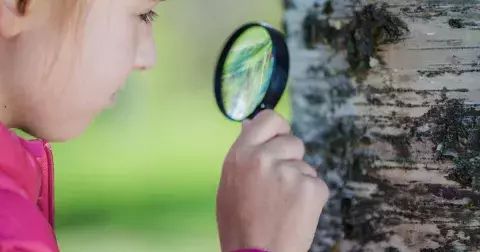 Kvíz: Osvěžte si přírodopis ze základní školy. Některé termíny jste už možná zapomněli, zkuste odpovědět na 100 procent